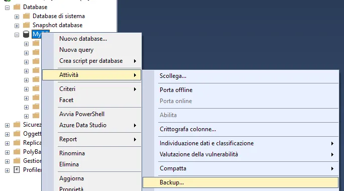 Backup tramite SQL Server Management Studio