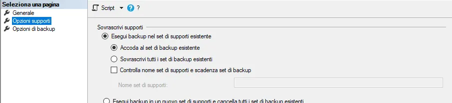 Opzione per accodare il backup