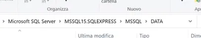 File dei dati memorizzati in SQL Server