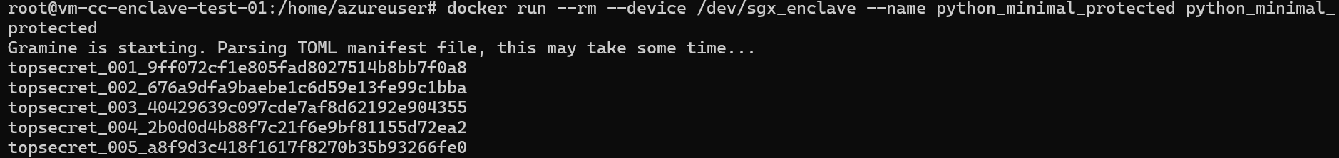 Run applicazione protetta
